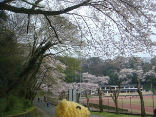 0407-7DSC09456.jpg