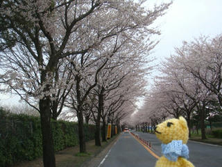 0407-8DSC09494.jpg