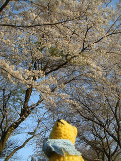 0407-5DSC09424.jpg