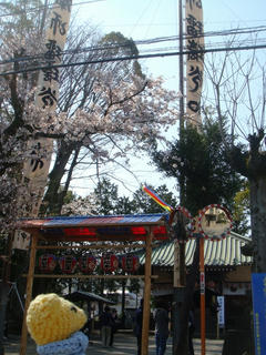 0408DSC09653.jpg