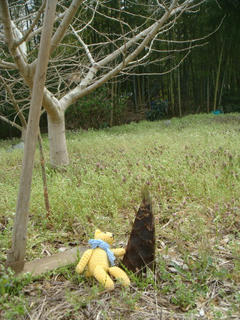 0413DSC09805.jpg