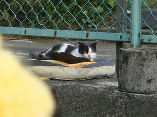 0418DSC09963.jpg