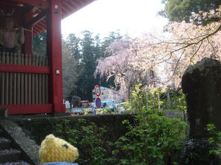 0427-4DSC09672.jpg