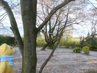 0427-5DSC09705.jpg