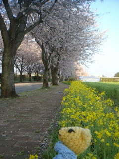 0427-6DSC09721.jpg
