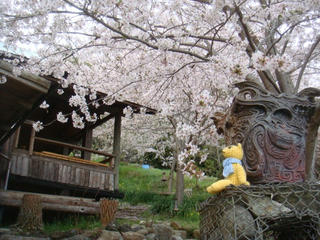 0427-7DSC09762.jpg