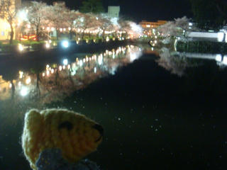 0427-8DSC09727.jpg