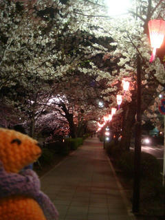 0427-9DSC09738.jpg