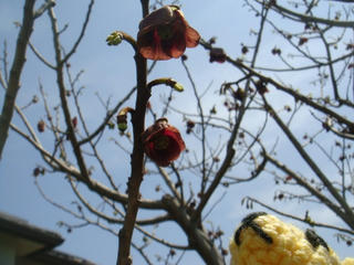 0501DSC00091.jpg