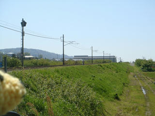 0502DSC00104.jpg