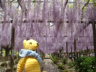 0506DSC00407.jpg