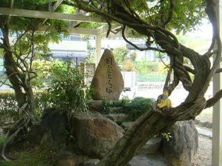 0504DSC00169.jpg