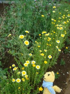 0508DSC00572.jpg