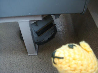 0509DSC00113s.jpg