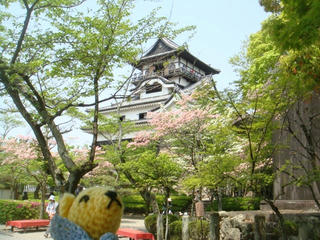 0504-1DSC00135.jpg