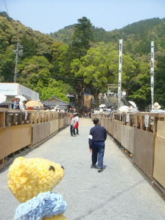 0505-2DSC00206.jpg