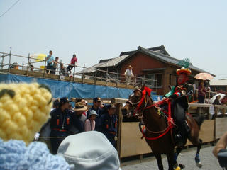0505-3DSC00209.jpg