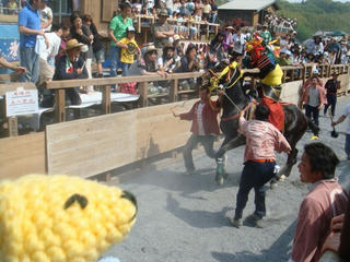 0505-5DSC00260.jpg