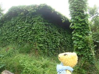 0523DSC00931.jpg