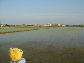 0604DSC01188.jpg
