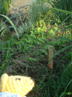 0608DSC01183.jpg