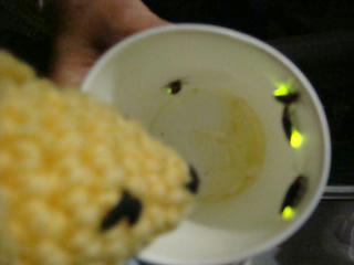 0609DSC01328.jpg