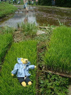 0613DSC01494.jpg