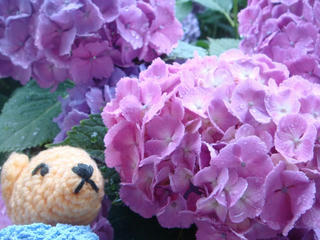 0618DSC01654.jpg