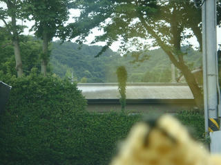 0620DSC01657.jpg