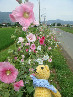 0628DSC01906.jpg