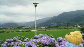 0628-1DSC01860.jpg