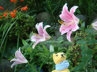 0709DSC02453.jpg
