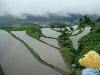 0629-2DSC01933.jpg