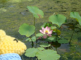 0716DSC02535.jpg