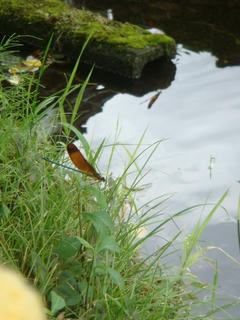 0717DSC02512.jpg