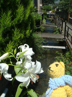 0719DSC02598.jpg