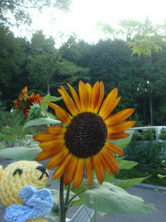 0727DSC02847.jpg