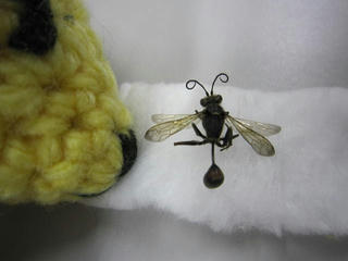 0805IMG_0117.jpg