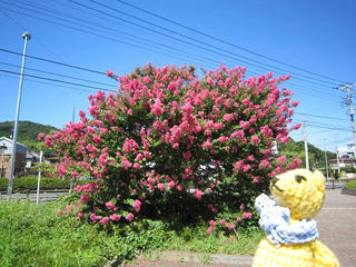 0806IMG_0114.jpg
