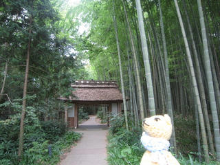 0808IMG_0252.jpg