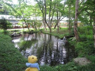 0808-2IMG_0300.jpg