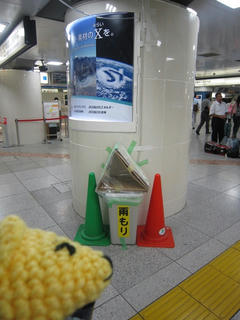 b89d947a.jpg