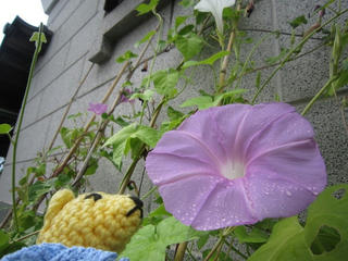 0815IMG_0335.jpg