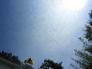 0822IMG_0428.jpg