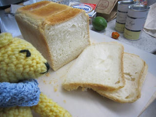 0824IMG_0483.jpg