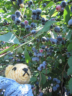 0826IMG_0532.jpg