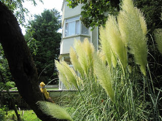0828IMG_0438.jpg