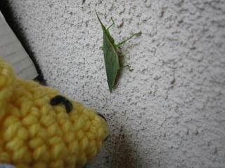 0903IMG_0736.jpg
