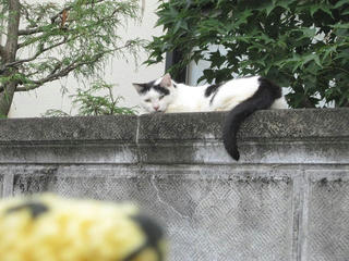 1002IMG_0959.jpg