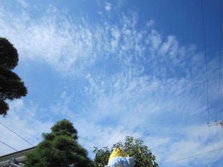 1003IMG_0960.jpg